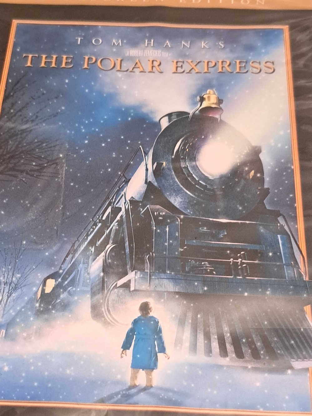 Polar Express DVD NEW